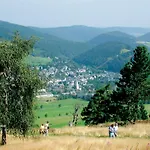 Penthaus-blick Willingen