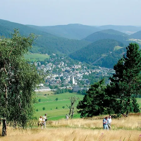 Penthaus-blick Willingen (Upland)